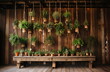 Pflanzen in Behältern aufgehängt an einer Wand, moderne Raumgestaltung, 3, Ai generiert
