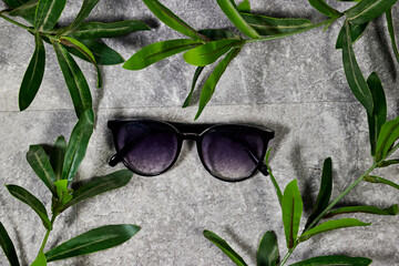 Wall Mural - Branch with fresh green Ruscus leaves with Round Glasses Women and sunglasses above marble background