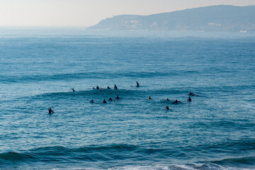 Wall Mural - Surfers sitting on their boards, eyes on the horizon, waiting for the perfect wave