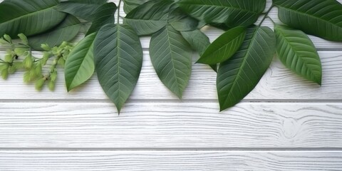 Wall Mural - Flat lay photo white wooden and green leaf around it, copy space background. Generative AI image weber.