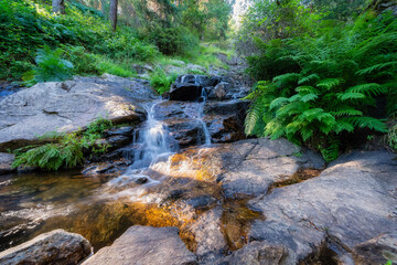 Stream that falls between the stones of an enchanted forest in the Sierra de Guadarrama, Madrid, Spain.