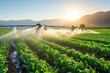 irrigation sprinklers revitalizing the agricultural landscape. The efficient water distribution fosters healthy plants and contributes to the vibrancy of rural farmland.