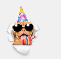 Poster - Happy Mastiff puppy wearing  sunglasses and party cap looking through the hole in white paper and points away on empty space