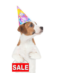 Poster - Jack russell terrier puppy  wearing a party cap shows signboard with labeled 