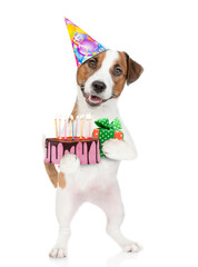 Poster - Jack russell terrier puppy wearing a party hat holds gift box and birthday cake with lot of candle and looks at camera. isolated on white background