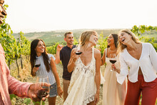 Multiracial friends dancing at summer party inside vineyards - Happy people having fun together drinking red wine at coutryside resort - Travel, celebration and tasting event concept - Focus on faces