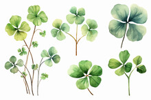 Lucky Clover Leaves With Four Leaf. Patricks Day Watercolor Clipart