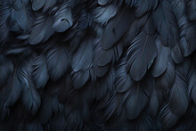 Abstract Black Feather Background