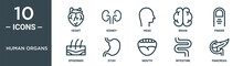 Human Organs Outline Icon Set Includes Thin Line Heart, Kidney, Head, Brain, Finger, Epidermis, Stoh Icons For Report, Presentation, Diagram, Web Design