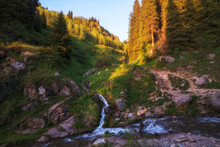 Summer Mountain Landscape At Sunset, A Small Stream Flows Into A Stormy River On A Slope With A Spruce Forest. Butakovo Gorge In Almaty Kazakhstan.