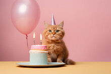 Cat With Birthday Cake. AI Generated