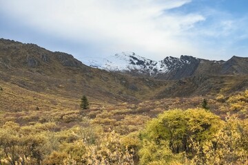 Sticker - Canada, Yukon, view of the tundra in autumn