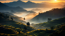 Heliocentric of Mu Cang Chai, a round circle terraced rice hill no house, Yen Bai, Viet Nam in misty sunset golden hours generative ai