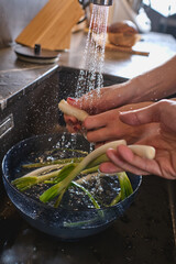 Wall Mural - Anonymous people washing green onions