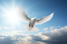 Peaceful White Bird Soaring Above A Serene Sky