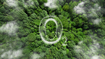 O2 bubbles in the middle of a lush forest are a metaphor for the purifying processes of air through nature. plants absorb carbon dioxide and release oxygen into the air. oxygen release concept