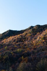 Sticker - Scenic view of a mountainous landscape with autumn foliage