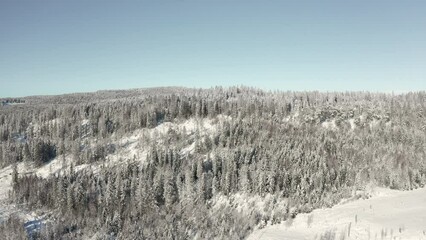 Poster - Aerial video of the rocky mountains covered with trees on a snowy sunny day