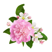 Pink Peony And Apple Flowers And Leaves In A Corner Floral Arrangement Isolated On White Or Transparent Background