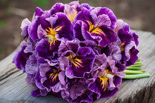 Purple Iris Bouquet 2