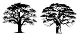 Fototapeta  - Baobab tree silhouette illustration