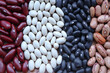 Various legumes and beans. Res speckled beans, black beans, red kidney beans and white haricot beans 