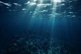 Fototapeta Do akwarium - underwater scene with rays of light and sun