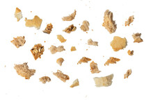 Fresh Whole Grain Bread Crumbs Isolated On White Background. Isolate Crumbs Of Different Sizes For Inserting Into A Design Or Project.