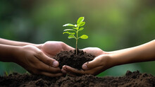 Manos Sosteniendo Tierra Con Una Pequeña Planta O Arbol Floreciendo. Concepto Dia De La Tierra, Ecologia