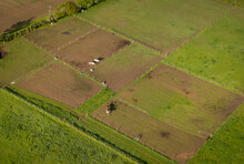 Aerial View Of Horse Paddocks In The Countryside In Kent, UK