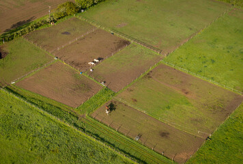 Wall Mural - Aerial view of horse paddocks in the countryside in Kent, UK