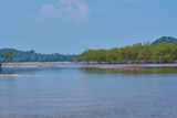 Fototapeta Do pokoju - mangrove tree river in thailand