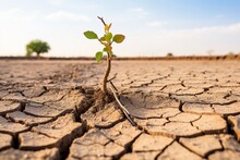 The Role Of Drought Recovery And Restoration Effort.