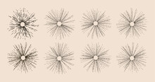 Abstract Radial Speed Motion Black Lines, Star Burst Background, Grunge Stamp Style. EPS 10 Vector File Included