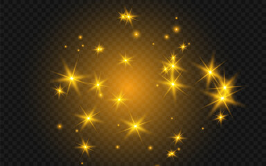 Wall Mural - the dust sparks and golden stars shine with special light. vector sparkles on a transparent backgrou