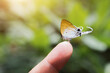 The long-tailed butterfly is catching on my finger.