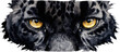 Black jaguar tiger eyes watercolor illustration. Generative AI