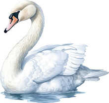 Watercolor White Swan Illustration. Generative AI