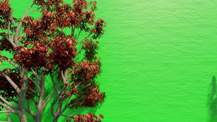 Wall Mural - simple wall background with tree