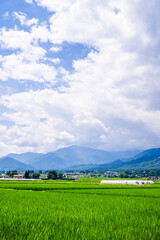 Wall Mural - のどかな安曇野　田舎の風景　