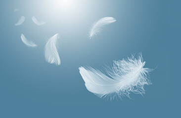 abstract white bird feathers falling in the sky. freedom, feather softness, floating white feather.