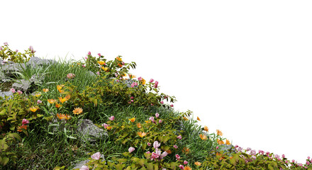 Poster - field of flowers and grass cut out on transparent background.