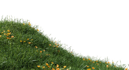 Poster - field of flowers and grass cut out on transparent background.
