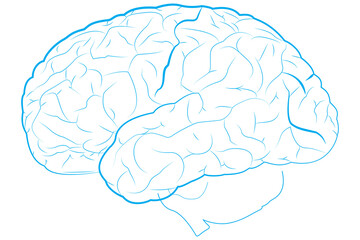 Digital png illustration of blue human brain outline on transparent background