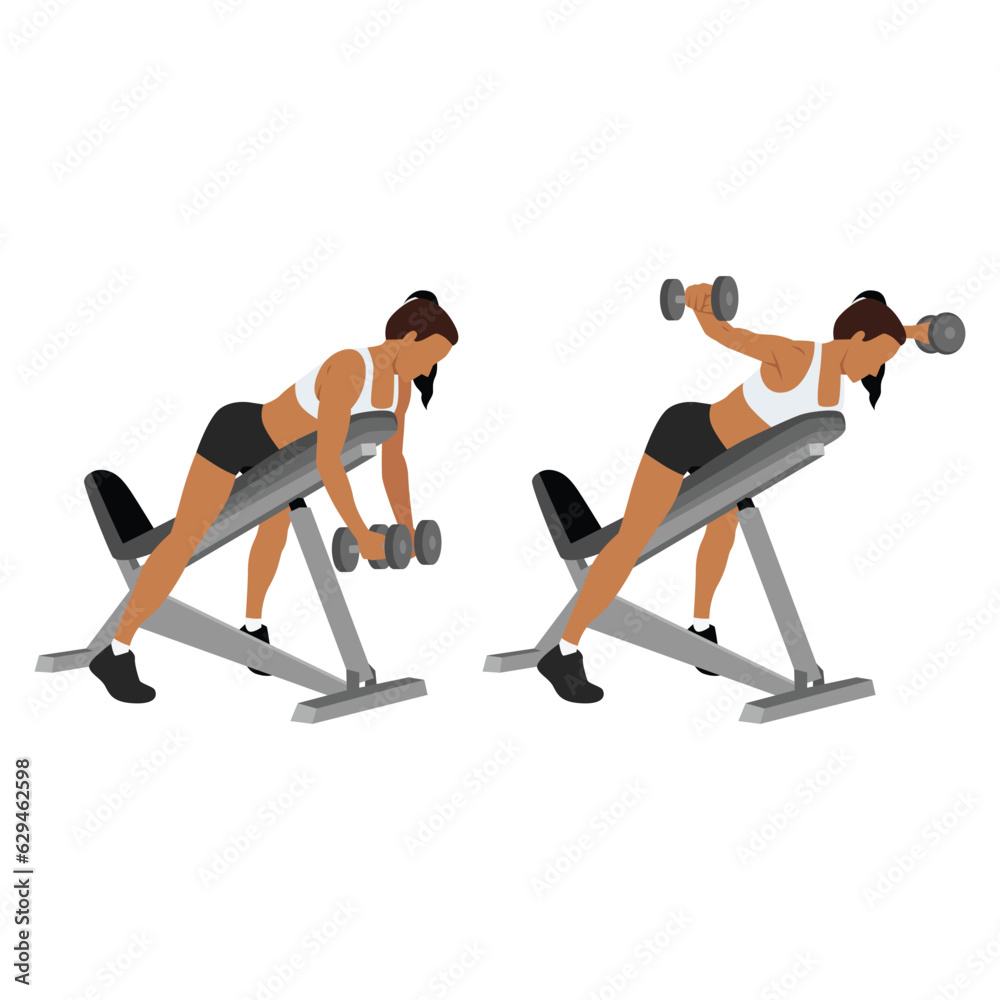 Woman doing Dumbbell bent over chest supported reverse flyes. Flat ...