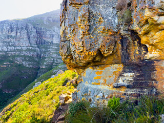 Wall Mural - Rugged mountain landscape with fynbos flora in Cape Town..