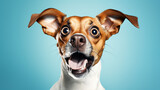 Fototapeta  - Dog - funny and excited on blue background



Generative AI