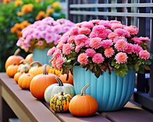 Pumpkins And Flowers Decor For House 