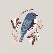 Vector Illustration With Bullfinch And Red Berries In Vintage Style. Isolated Vector Illustration With A Bird.