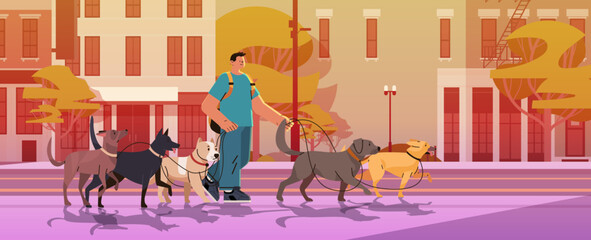 Wall Mural - man dog handler walks with pets in urban park best friends domestic animals walking service volunteering pet care